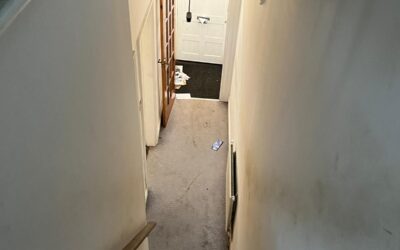 Watch the Transformation into a Social HMO